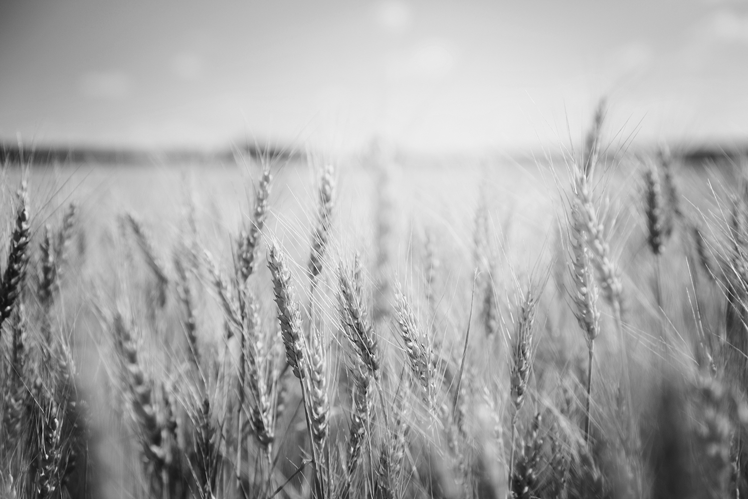 Agrium Inc.